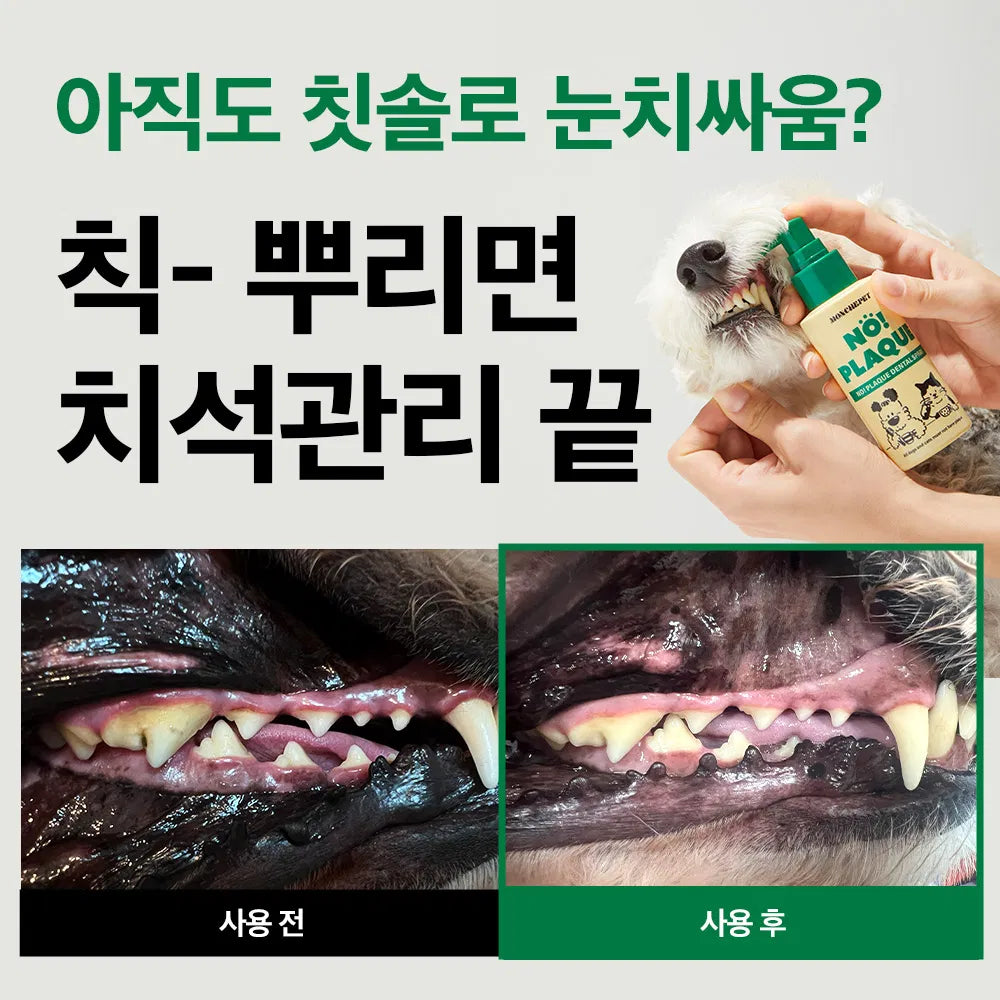 [Moncher Pet] Spray Dental Toothpaste for Pets (100ml)
