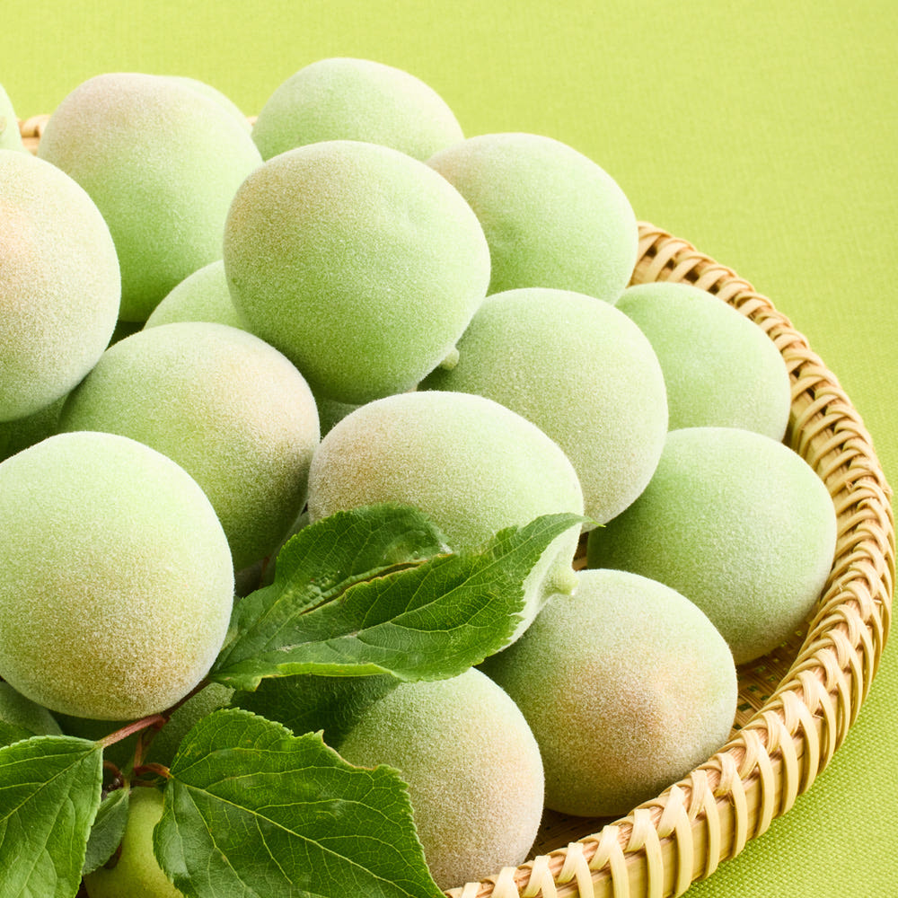 [Encanto] Green Plum Base 98% 480g