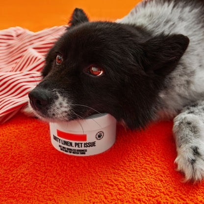 [Dirty Linen] Pet Issue Solid Odor Eliminator (400g)