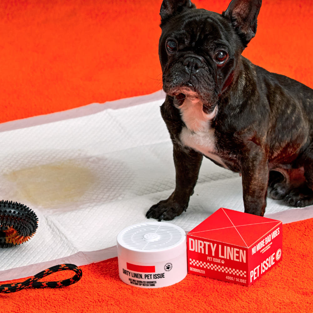 [Dirty Linen] Pet Issue Solid Odor Eliminator (400g)