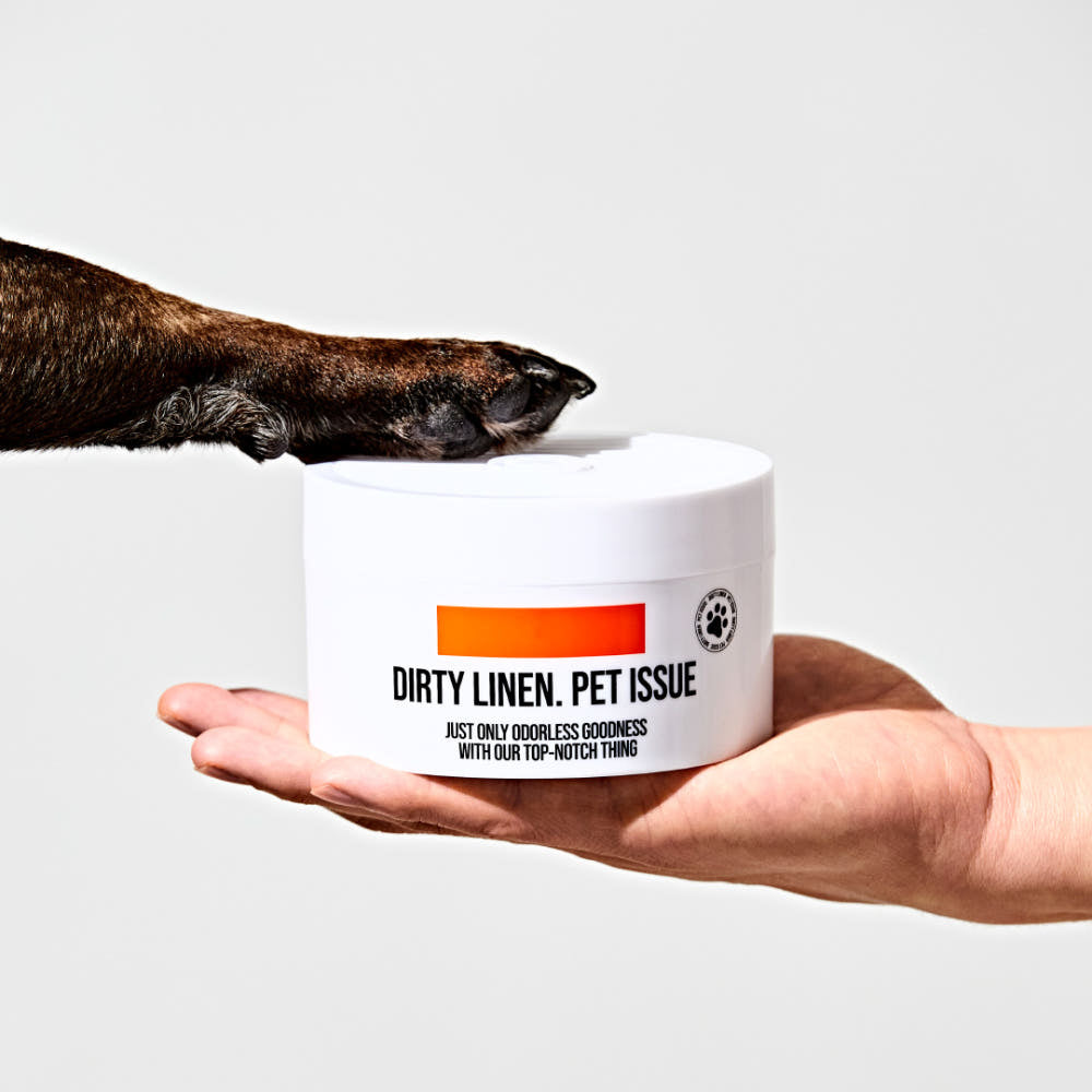[Dirty Linen] Pet Issue Solid Odor Eliminator (400g)