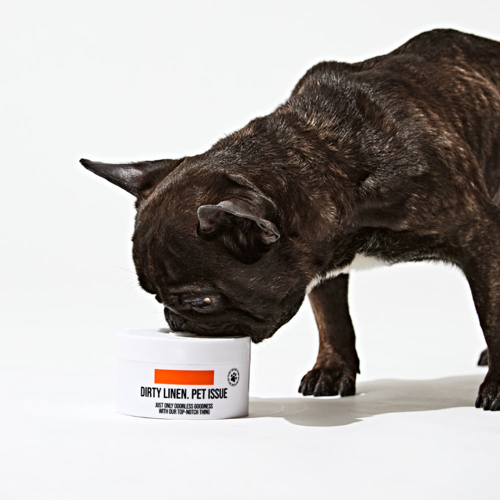 [Dirty Linen] Pet Issue Solid Odor Eliminator (400g)