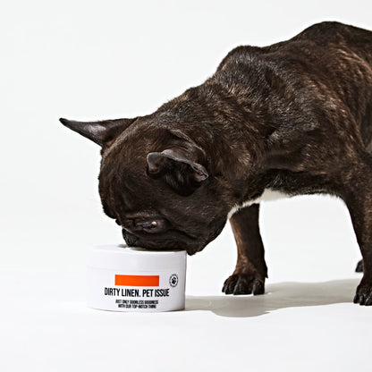 [Dirty Linen] Pet Issue Solid Odor Eliminator (400g)