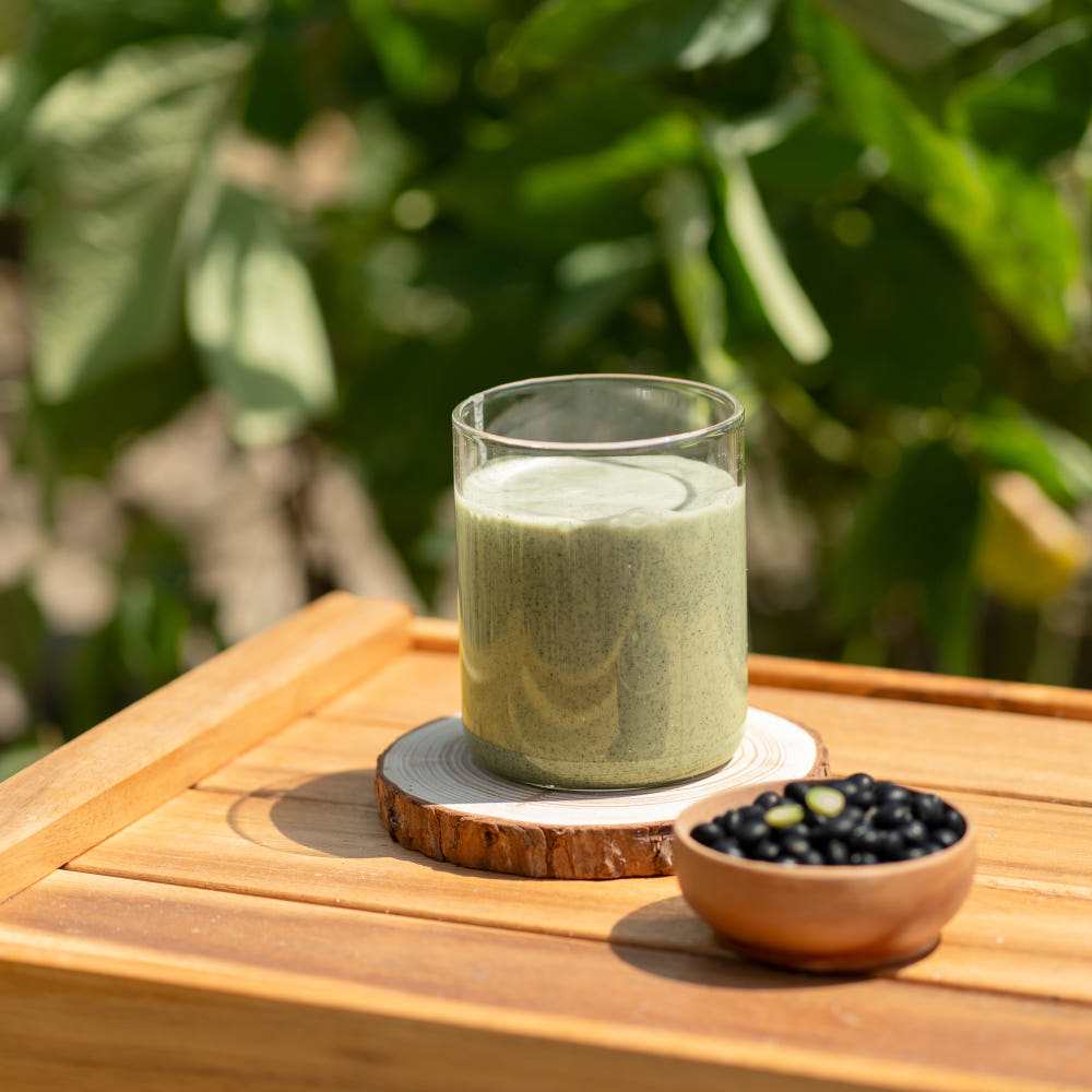 [Garu Seonsaeng] Korean Product Fresh Soy Milk Powder Black Soybean 99.3 500g