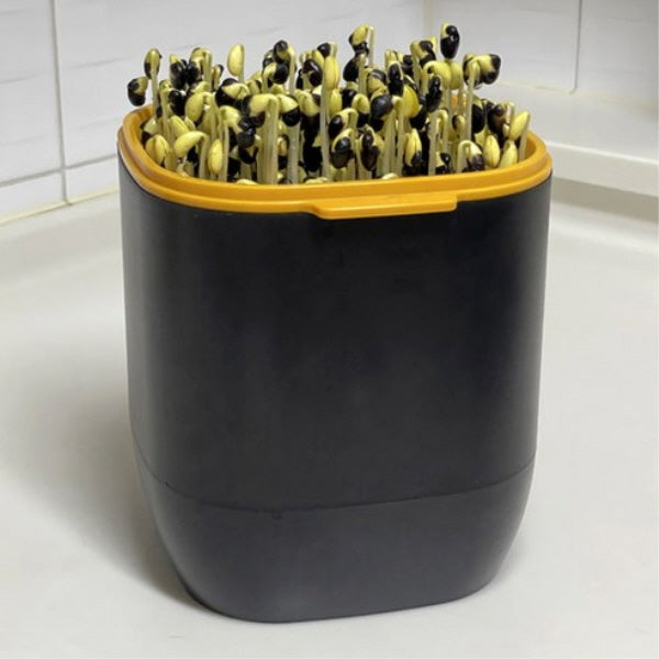 [CoaCoa] Bean Sprout & Mung Bean Sprout Grower – CoaDu 1-Tier