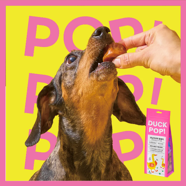 [Gaenim's Snack] Pop Pop Duck Dog Treats (120g)