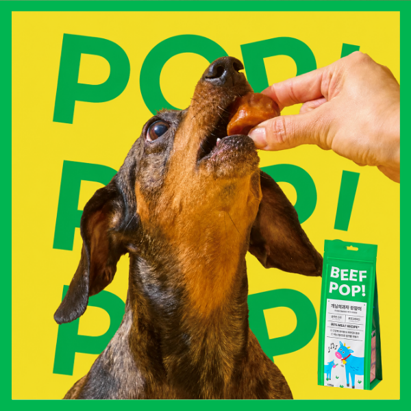 [Gaenim's Snack] Pop Pop Beef Dog Treats (120g)