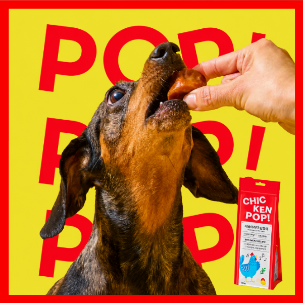 [Gaenim's Snack] Pop Pop Chicken Dog Treats (120g)