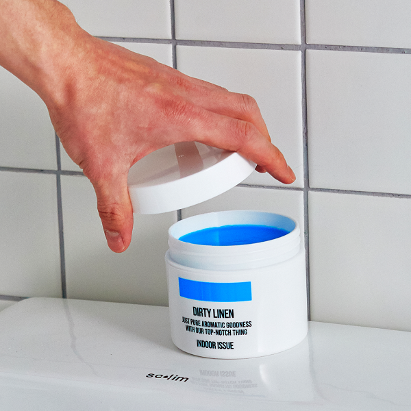 [SNS Hot Item] [Dirty Linen] Indoor Deodorizer - Indoor Issue (For Indoor Use)